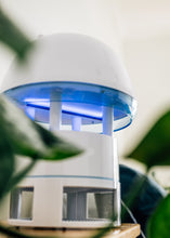 Load image into Gallery viewer, 2x BUNDLE | PORTOTI | PR-25MB | Mosquito Trap