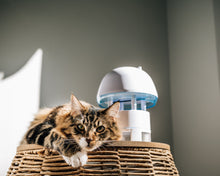 Load image into Gallery viewer, 5x Family BUNDLE | PORTOTI | PR-25MB | Mosquito Trap